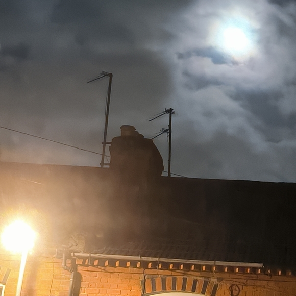 Meet your Posher, Max - Picture 1 of 1